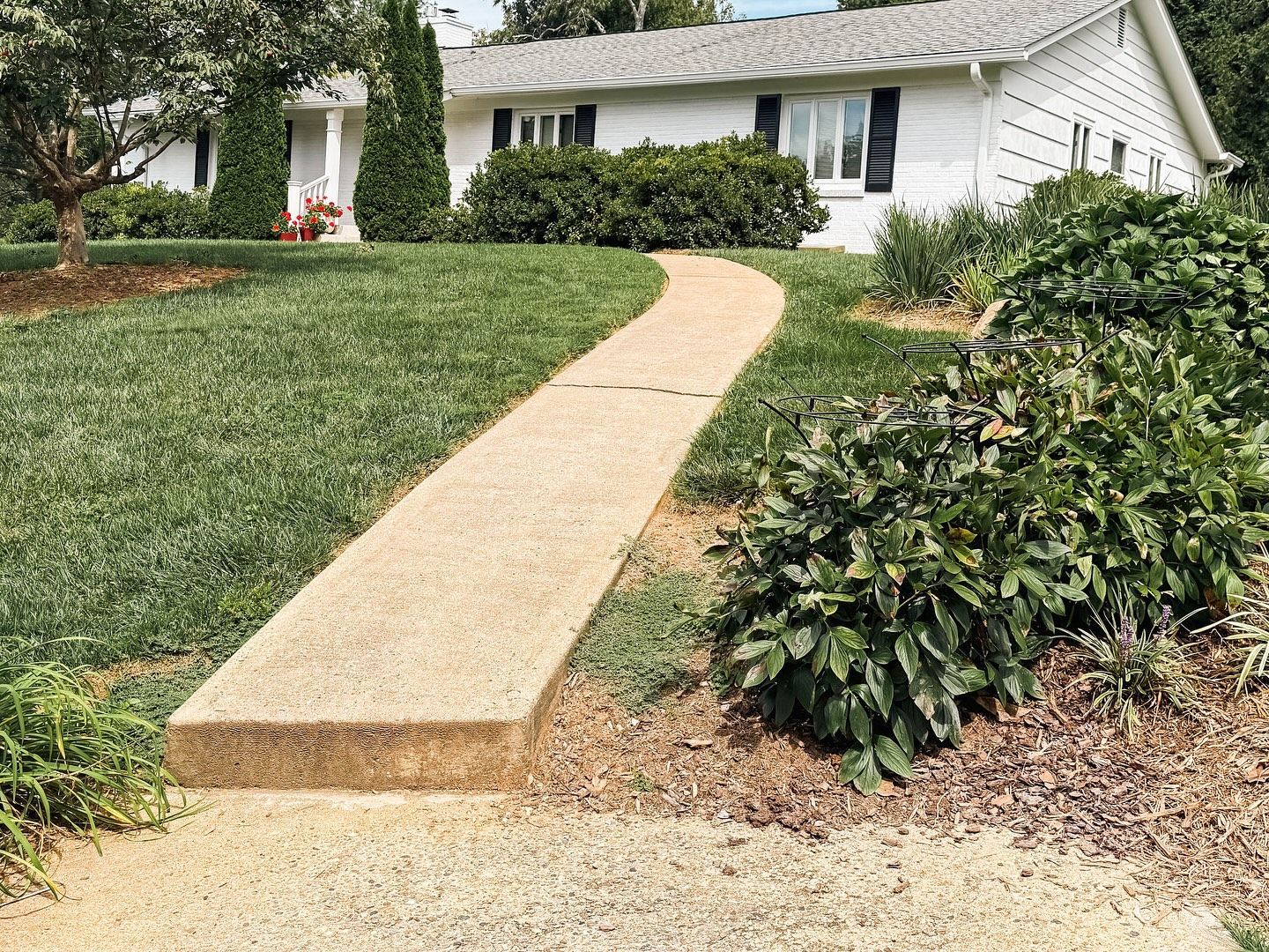 Concrete walkway leads to a white house with black shutters, surrounded by green grass and bushes.