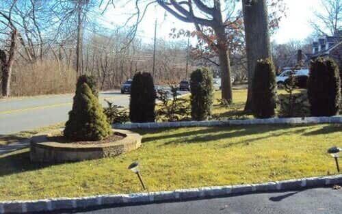 A well-manicured lawn with various evergreen trees and bushes, bordered by a curb and roadway, on a sunny day.