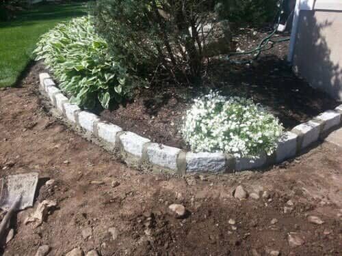 Flower bed with gray stone border, containing green and white plants