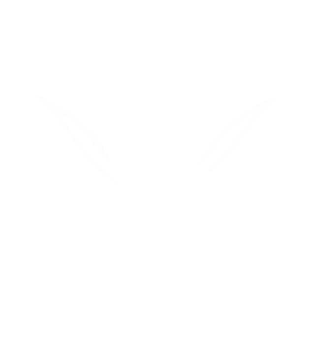 Privacy Policy | Agave on the Beach | Miami, FL