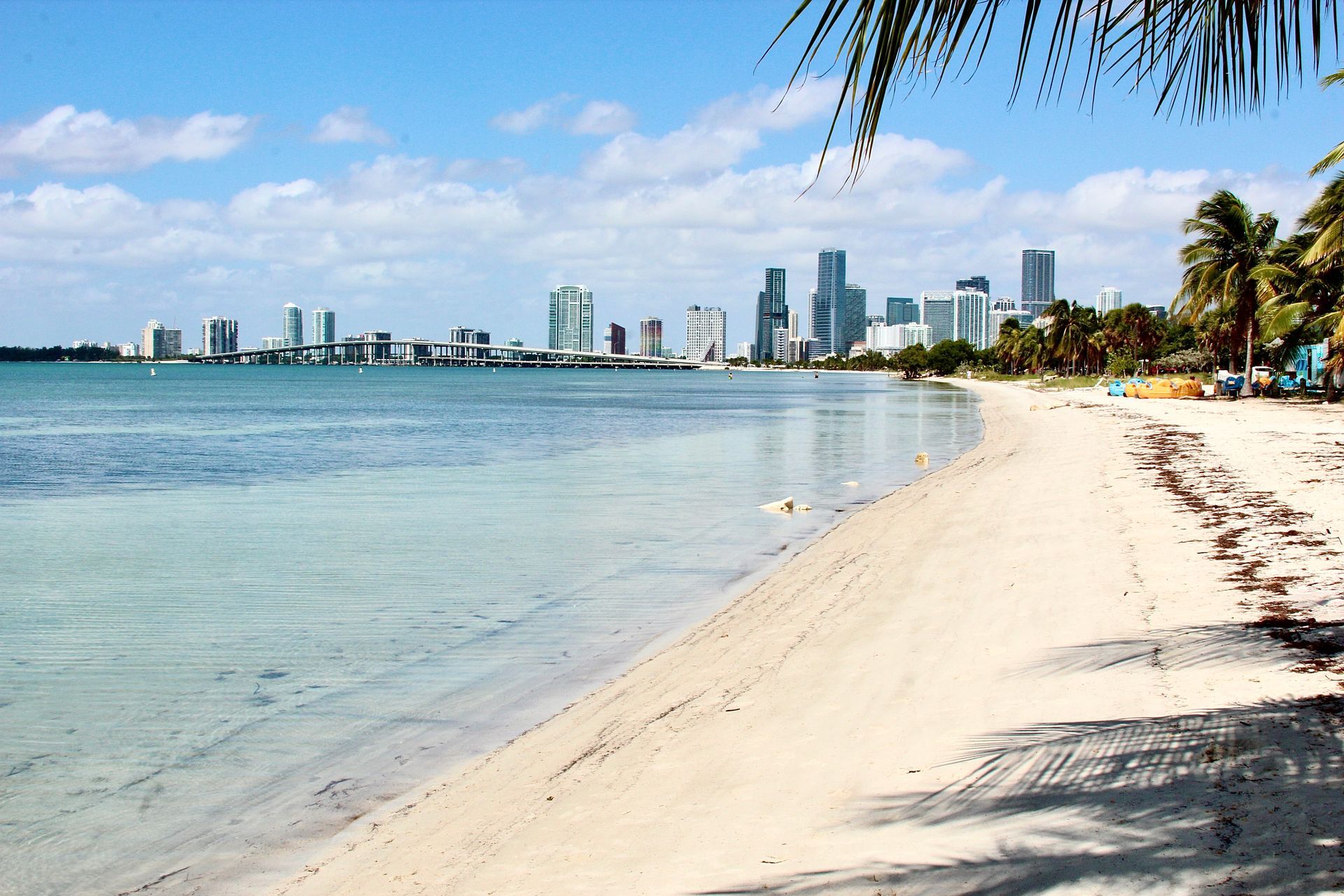 Beach with white sand and turquoise water, palm trees, and city skyline in the distance.