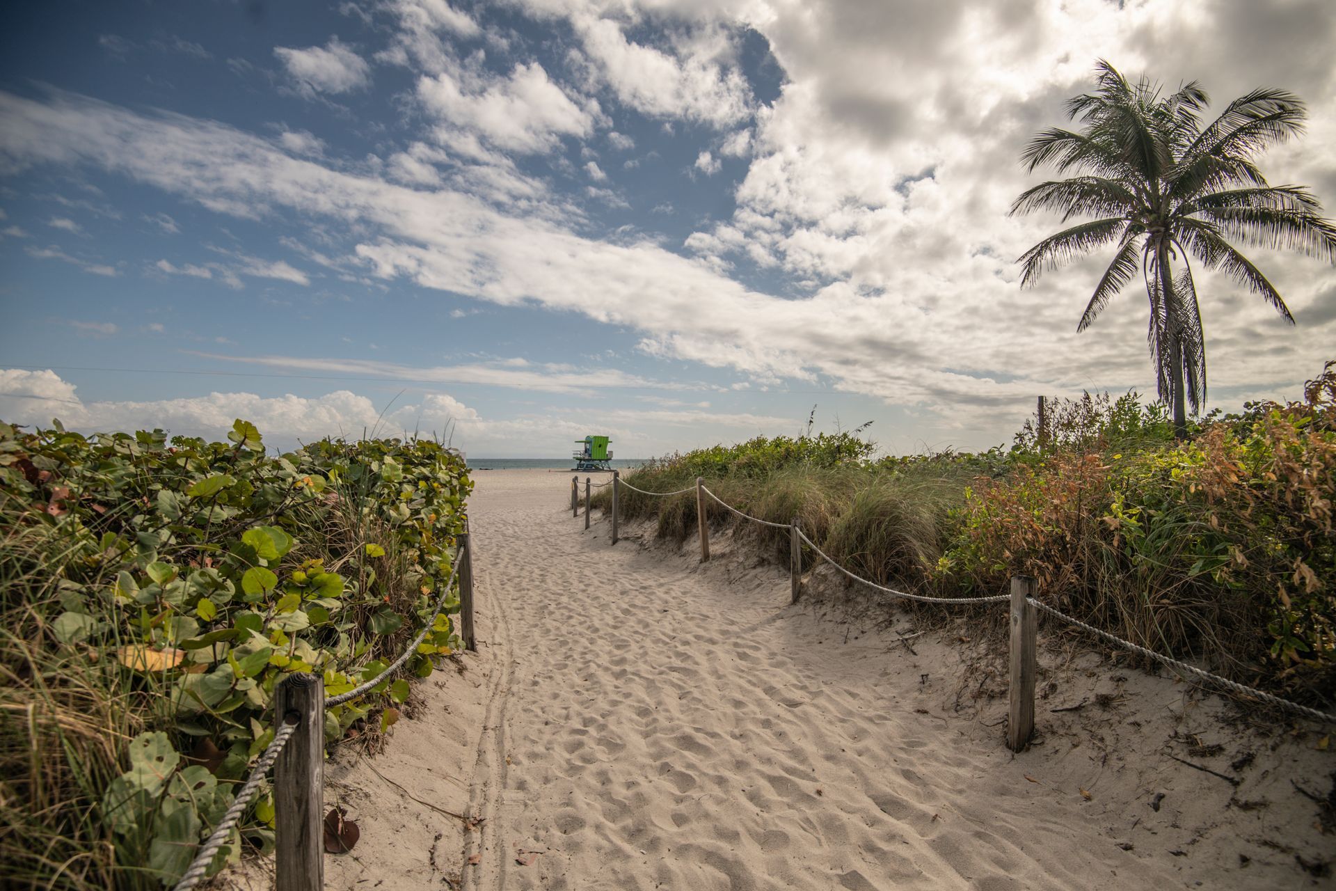 Sandy path leading to the beach, with palm tree and green lifeguard stand under a cloudy sky.