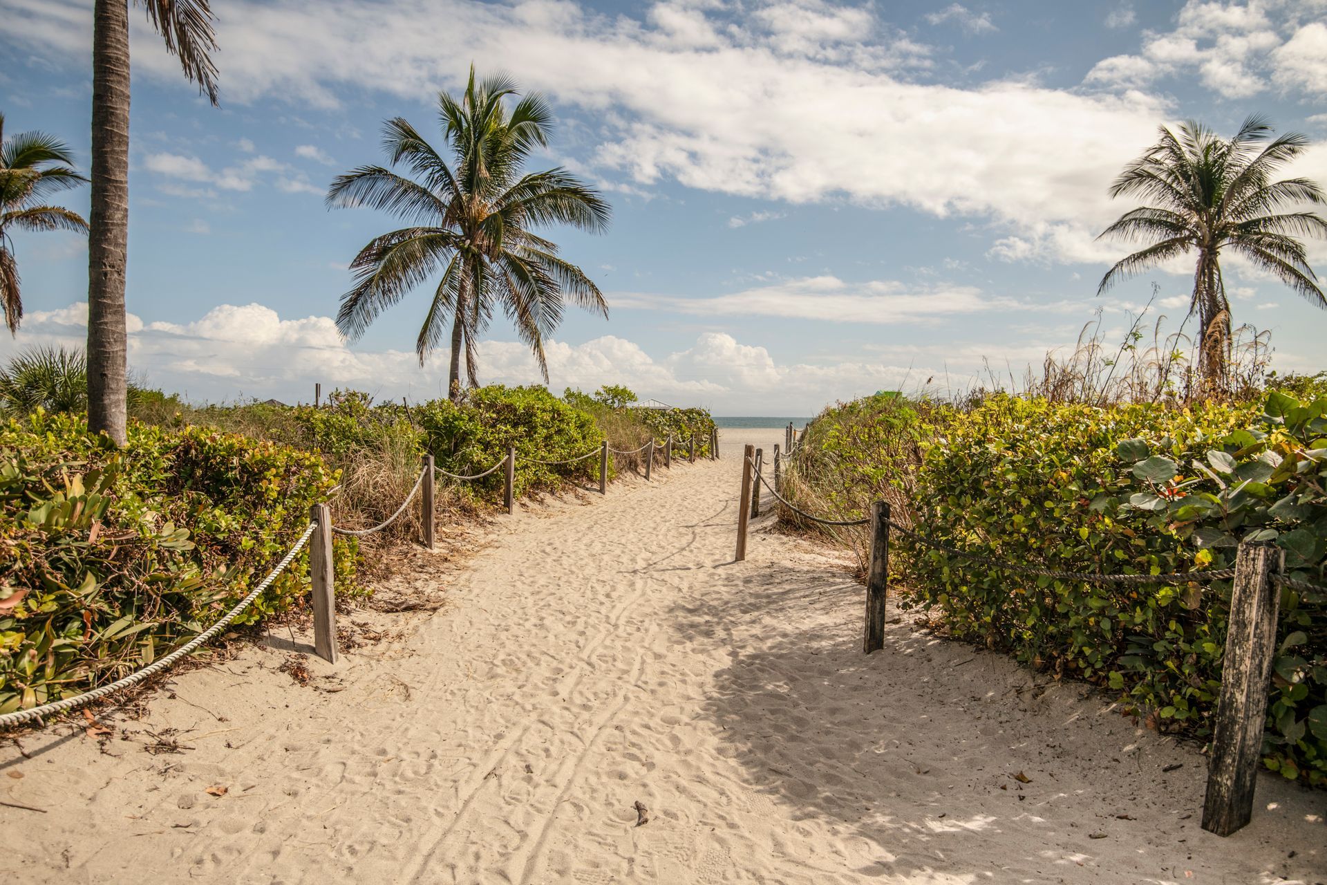 Sandy path to beach, lined with green bushes and rope fencing, under palm trees and blue sky.