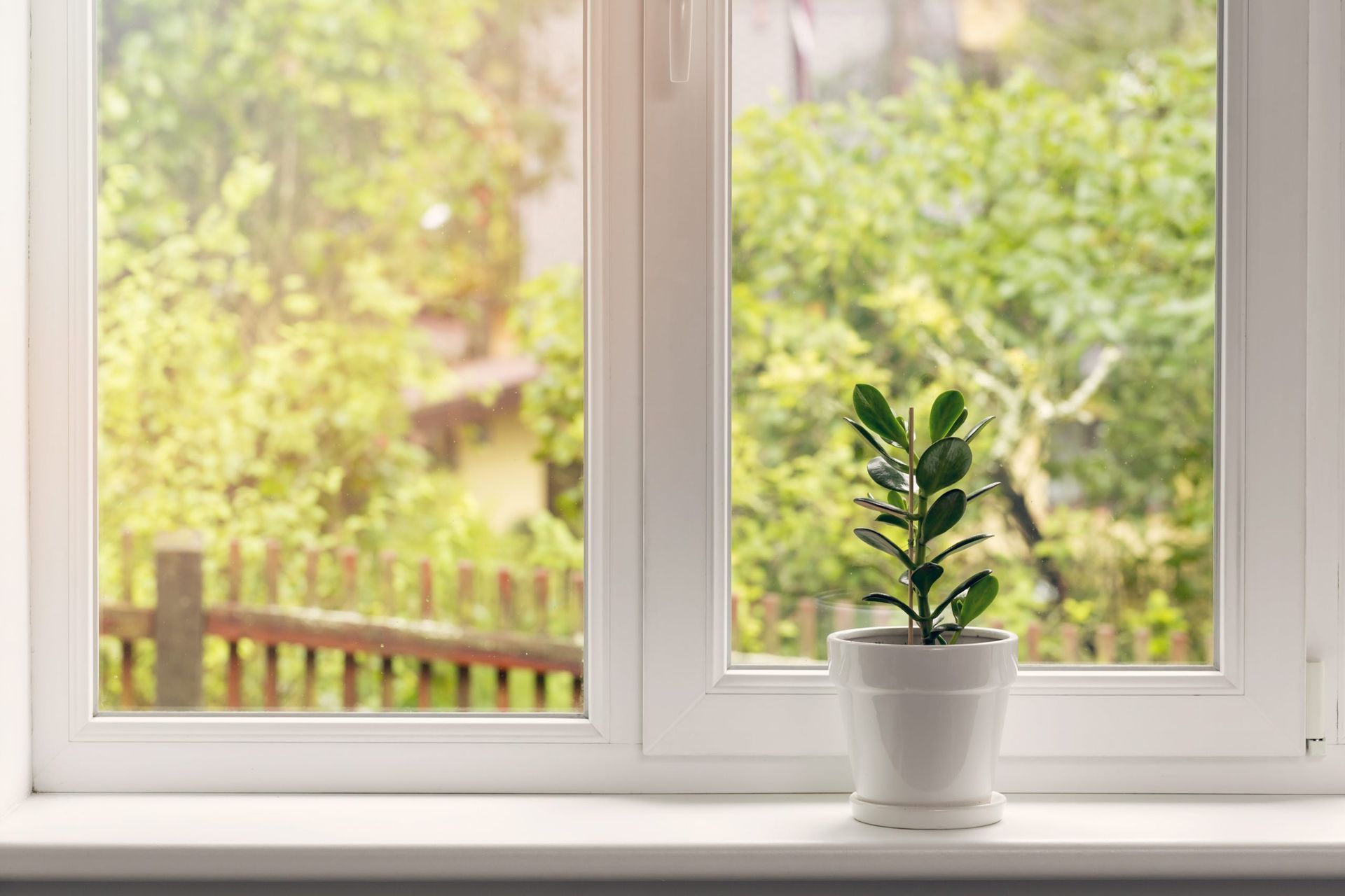 What Type of Energy Savings Can I Expect From Window Films for My Home or Office? Small potted plant on a white windowsill with a bright green garden outside the window
