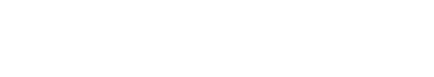 White horizontal banner with a thin black border along the top and a gray gradient at the bottom.