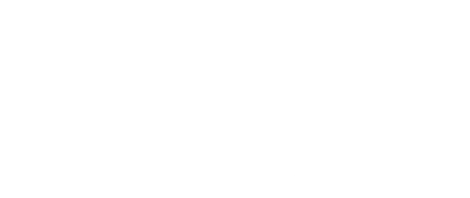 link investment group logo