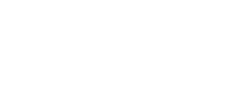 link investment group logo