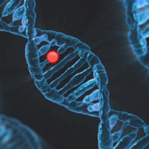 A close up of a dna structure with a red dot in the middle