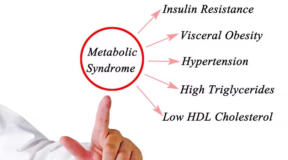 A person is pointing at a diagram of metabolic syndrome