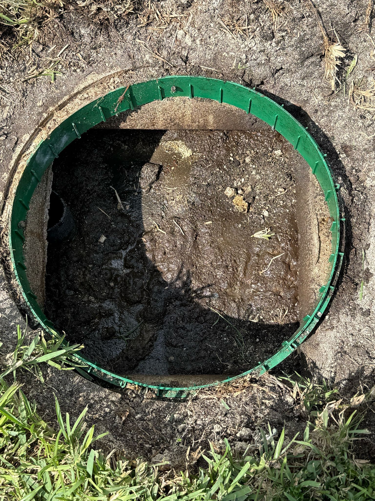 A manhole cover with a green ring around it is sitting in the dirt.
