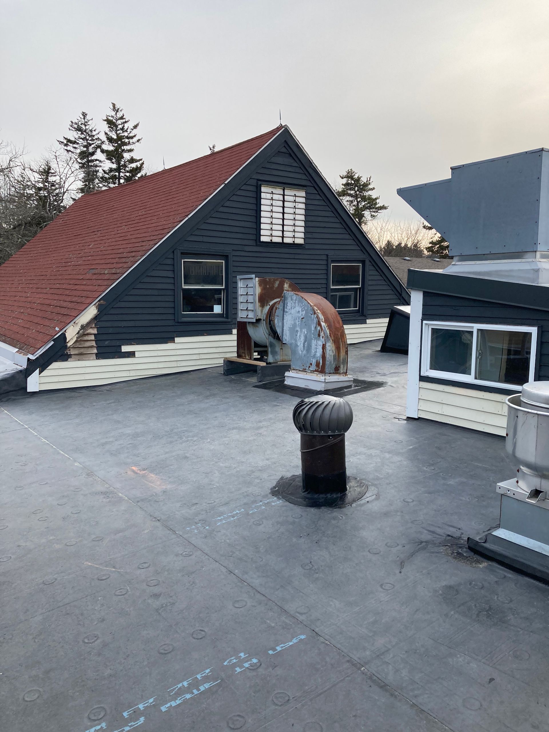 A horse is sitting on the roof of a house.
