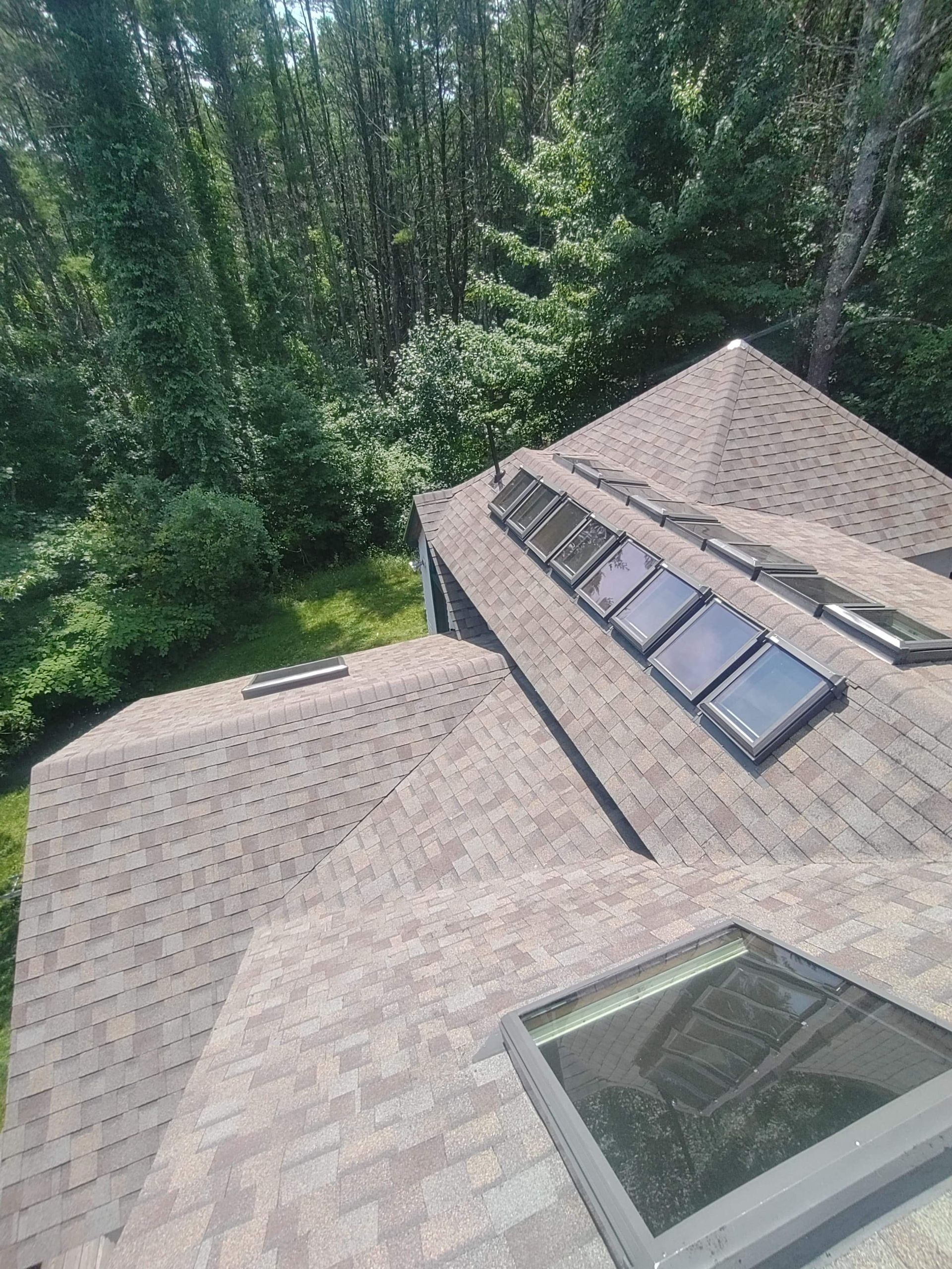 An aerial view of a roof with skylights and trees in the background.