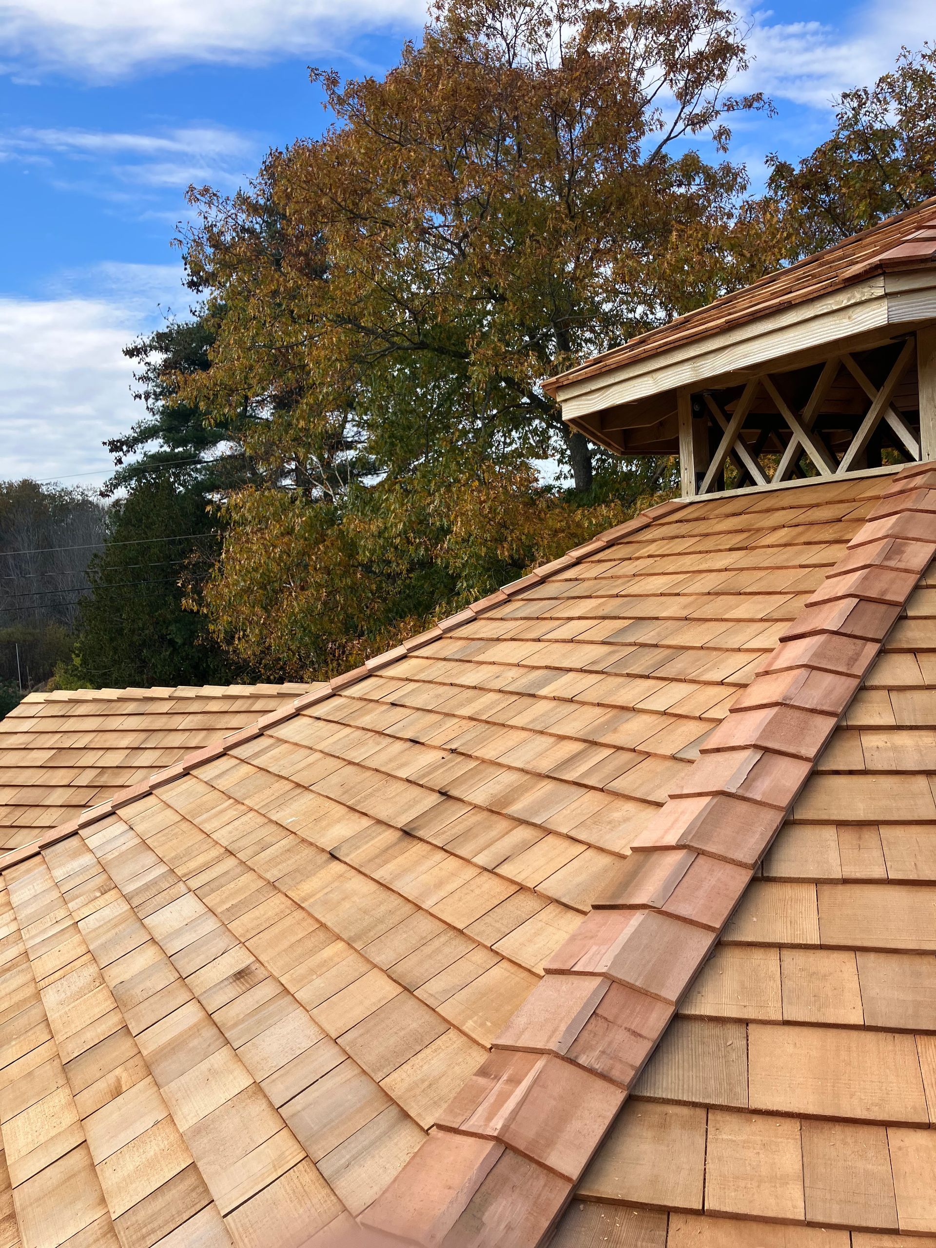 A close up of a wooden roof with trees in the background.