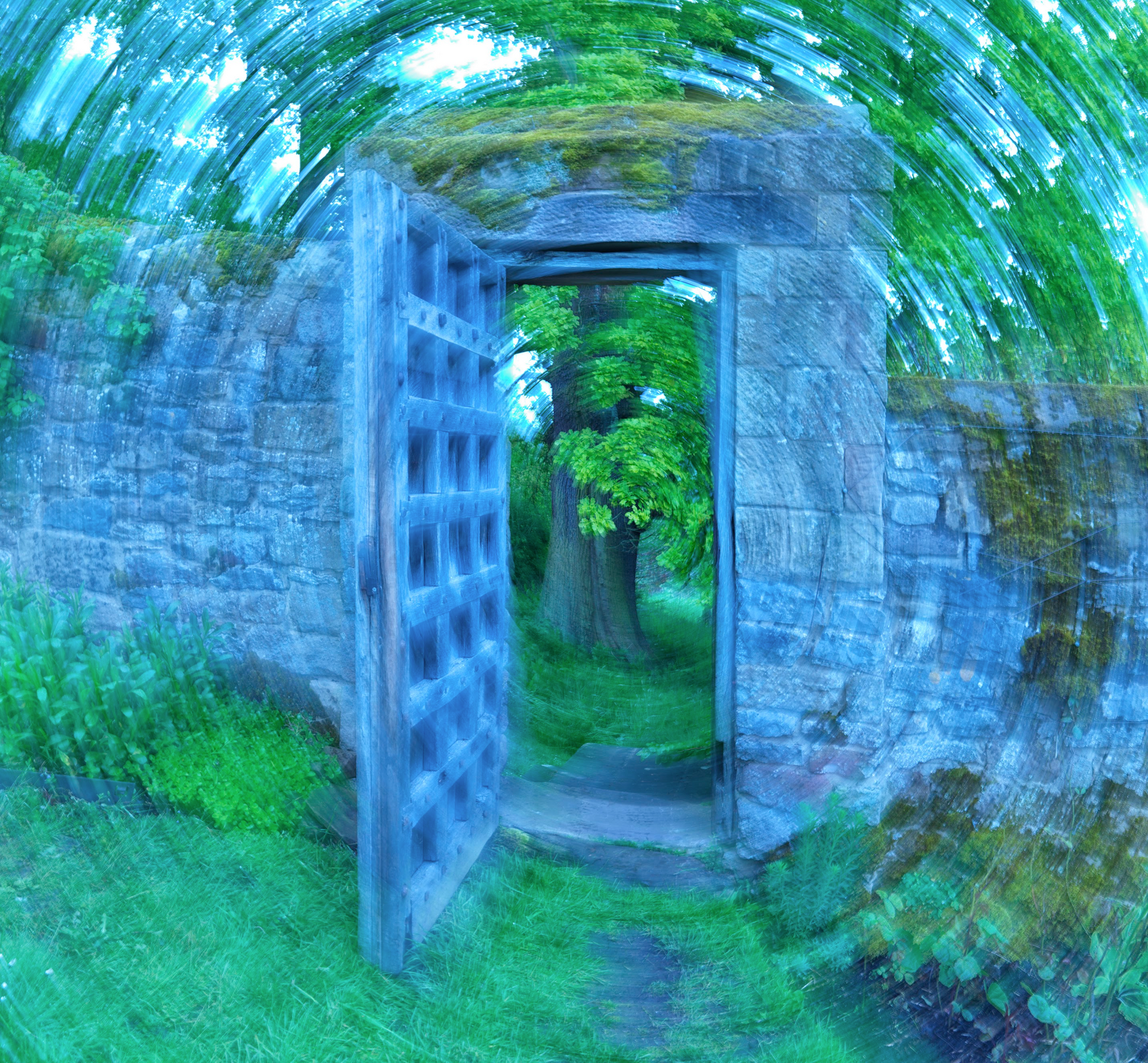 A blue door is open to a lush green forest