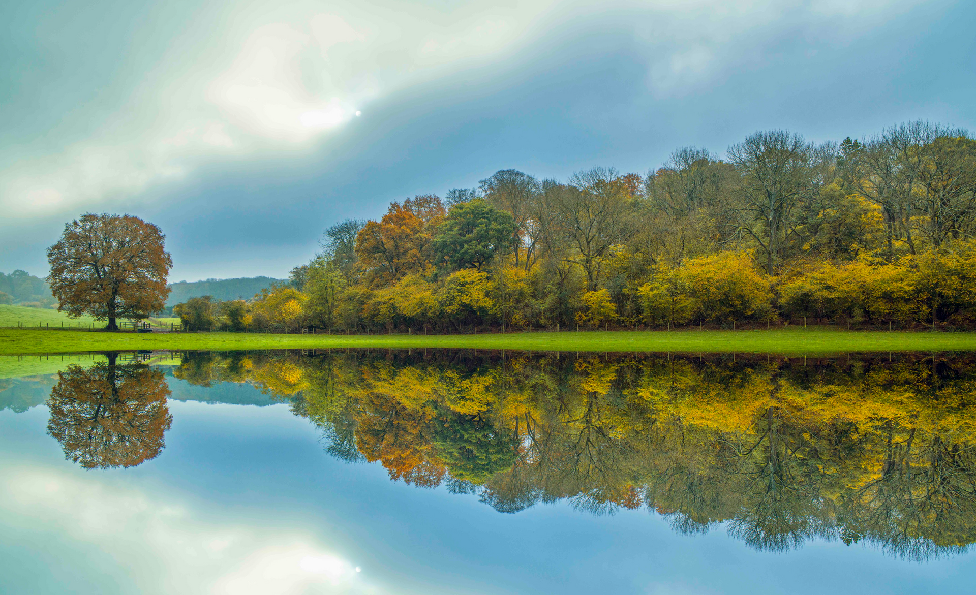 A tree is reflected in the water of a lake surrounded by trees.