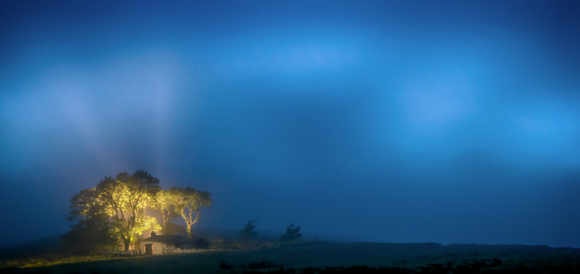 A tree with lights on it in the middle of a field at night.