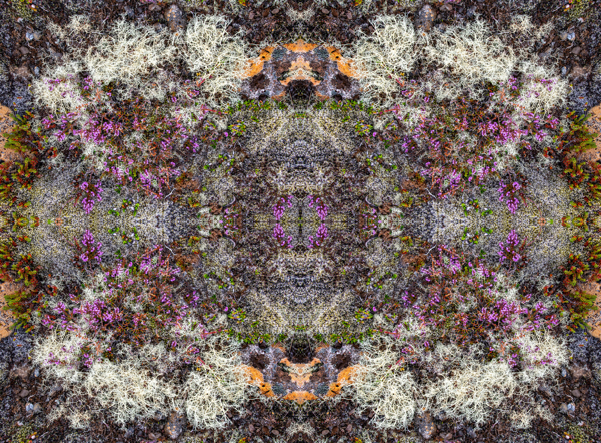 It looks like a kaleidoscope of flowers and rocks.