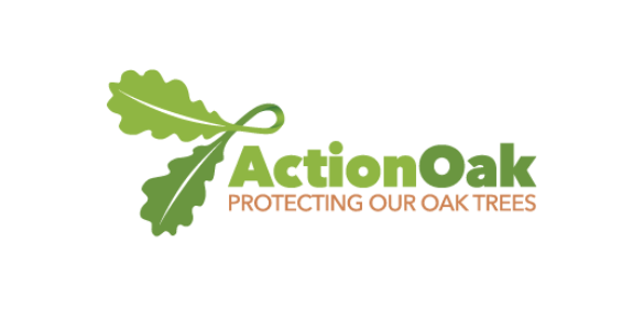 A logo for action oak protecting our oak trees