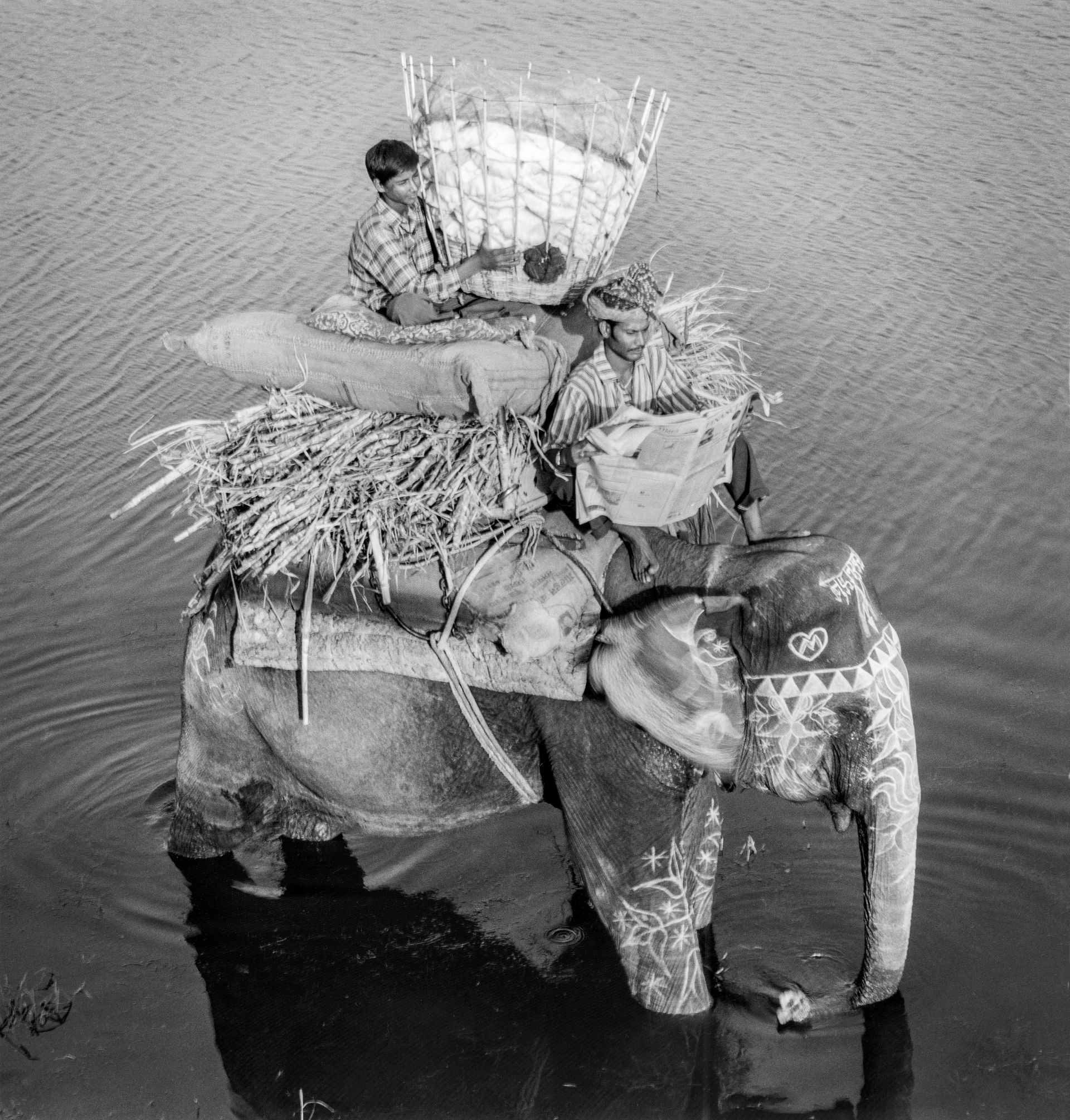 A man sits on the back of an elephant in the water