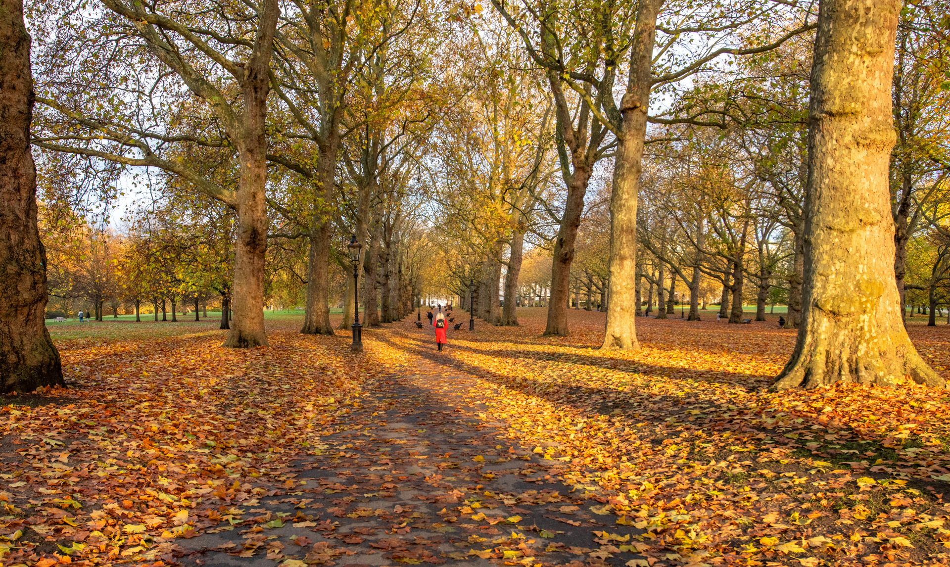 A person is walking down a path in a park covered in leaves.