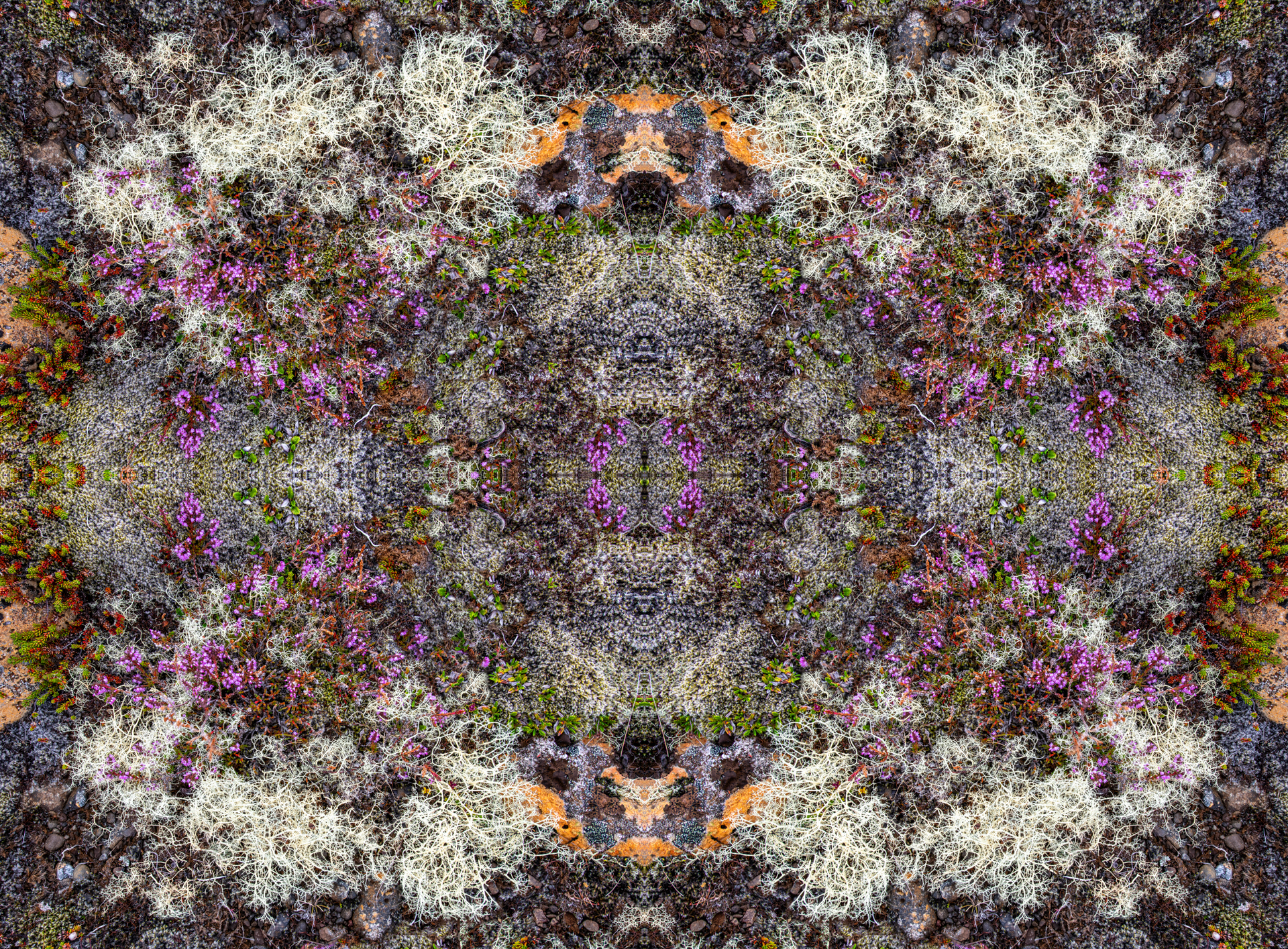 It looks like a kaleidoscope of flowers and rocks.