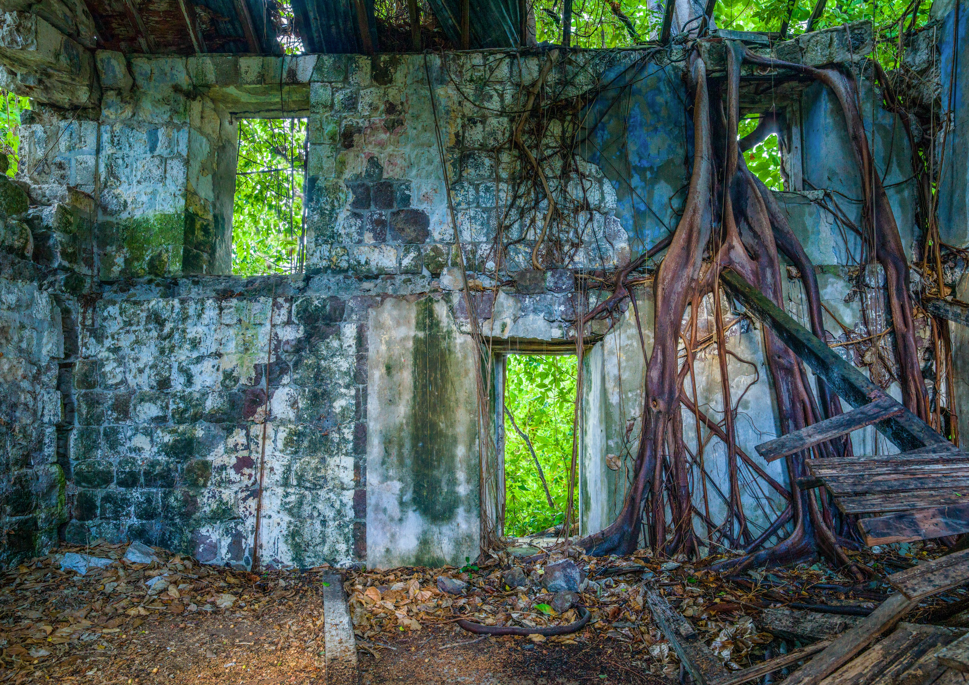 An old abandoned building with a tree growing out of it.