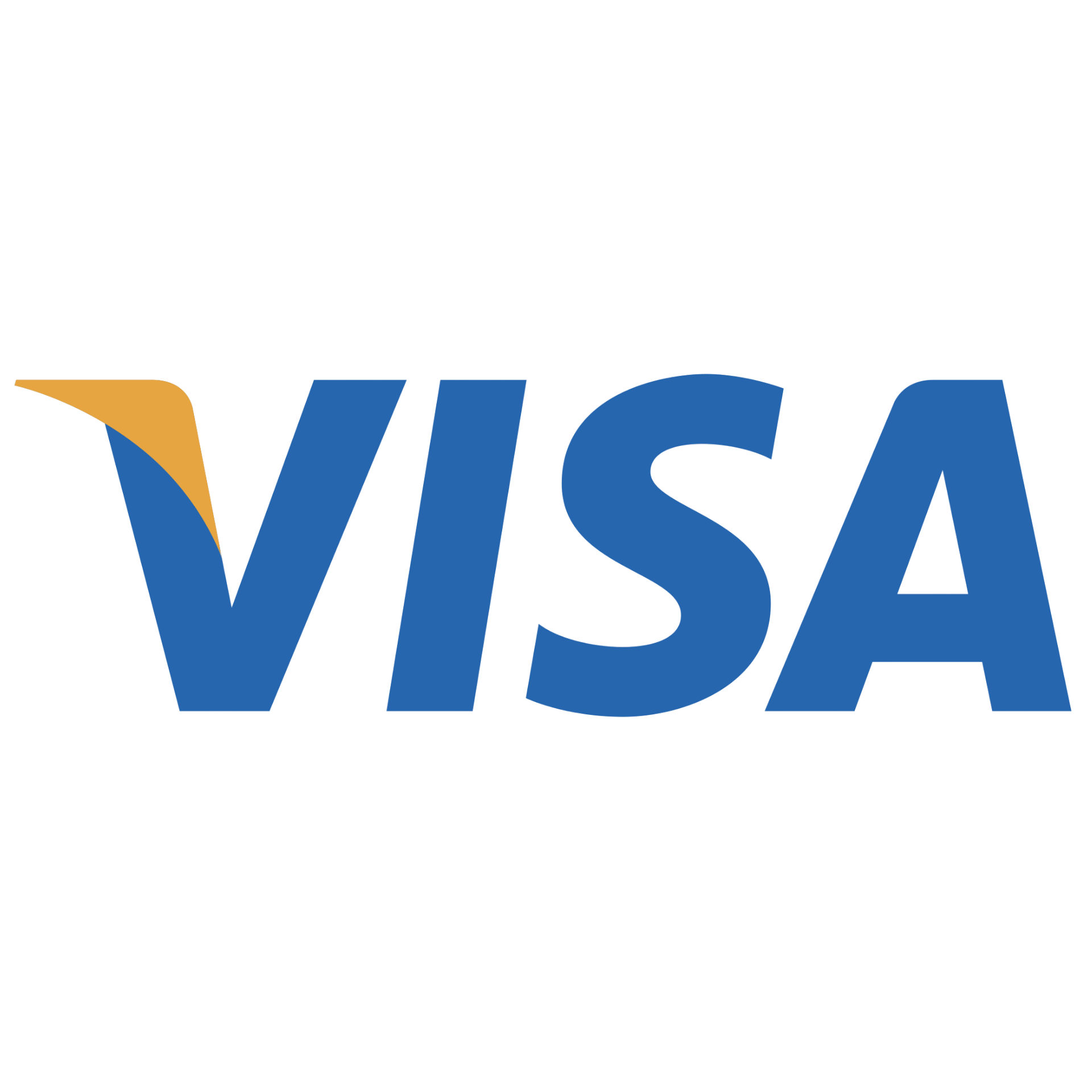 MDM Plumbing & Sewer LLC | A blue and yellow visa logo on a white background.