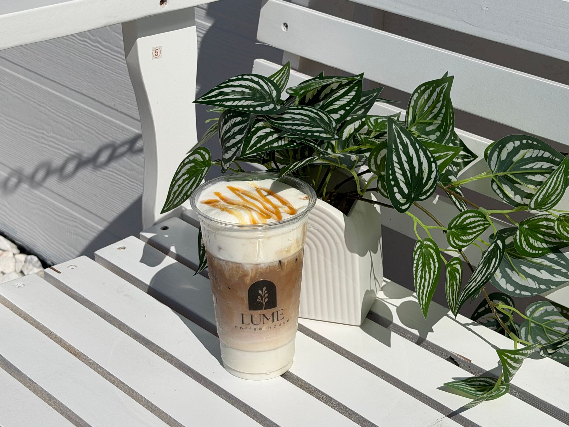 Iced coffee in a clear cup on a white slatted table beside a potted green plant in sunlight