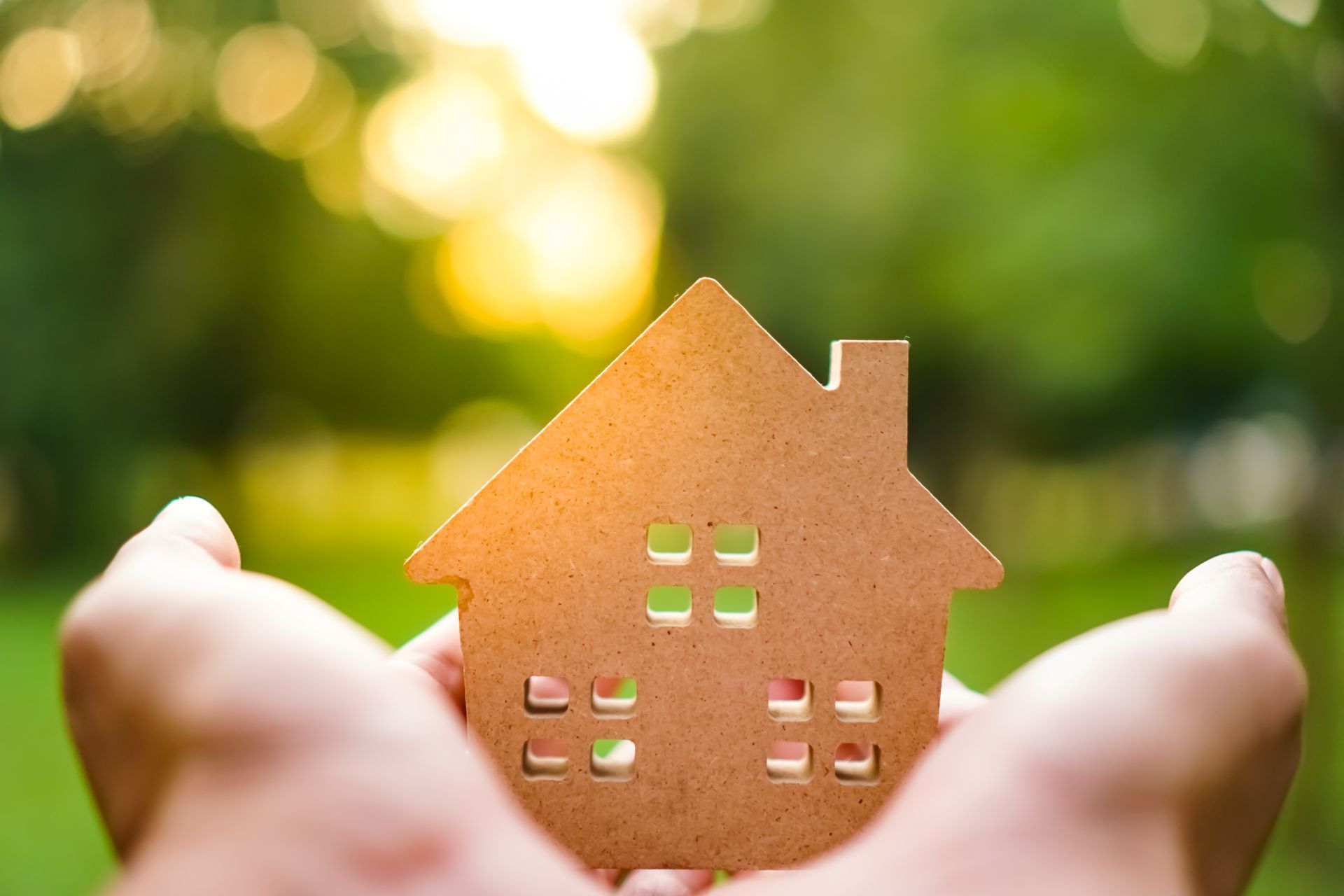Person holding a wooden house with a nature background