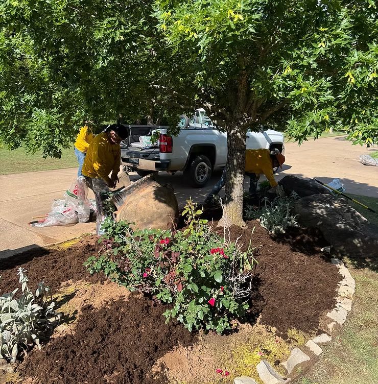 Landscapers mulching around a tree in a yard.  Truck in the background.