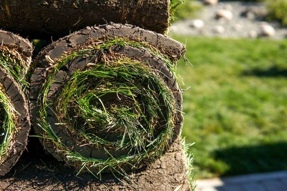 Rolled sod stacked, ready for installation, with green grass visible; sunny outdoor setting.