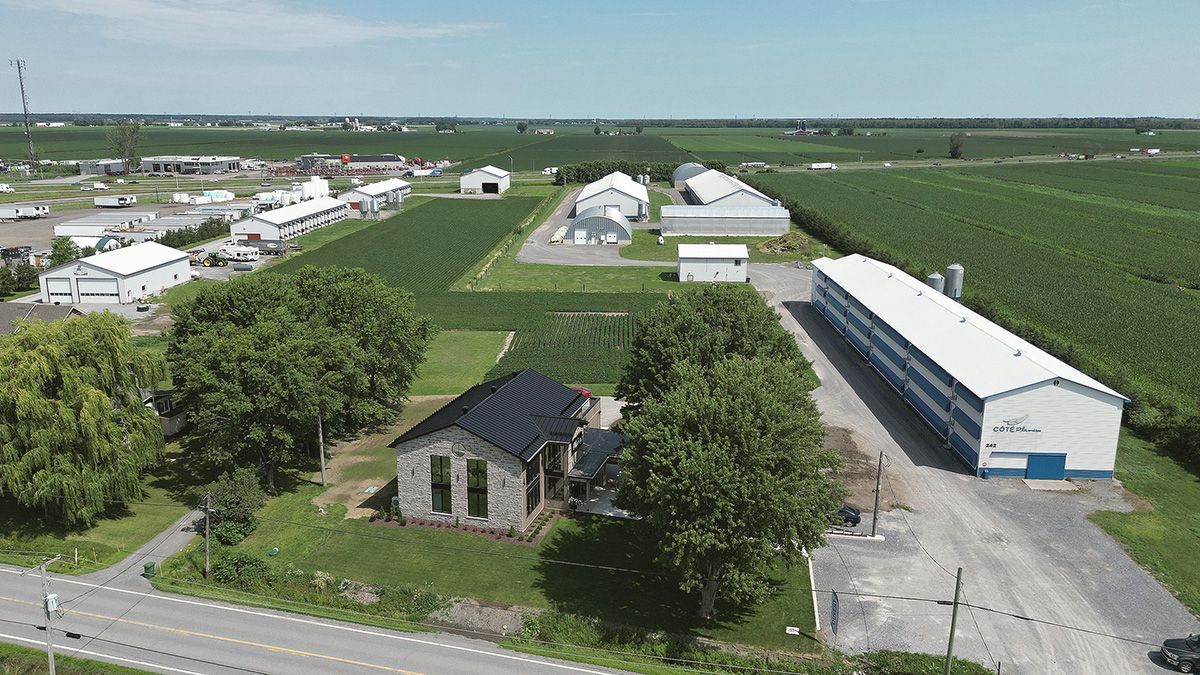 Construction G. Bazinet réalisation 25