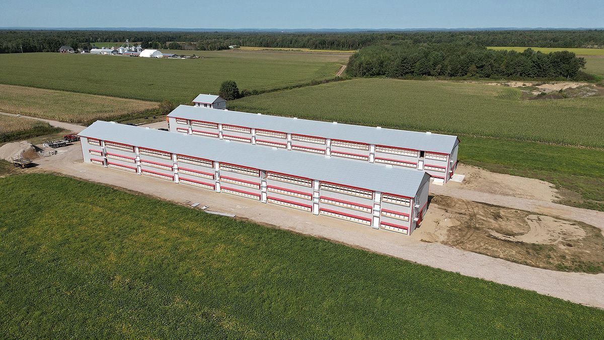 Construction G. Bazinet réalisation 8