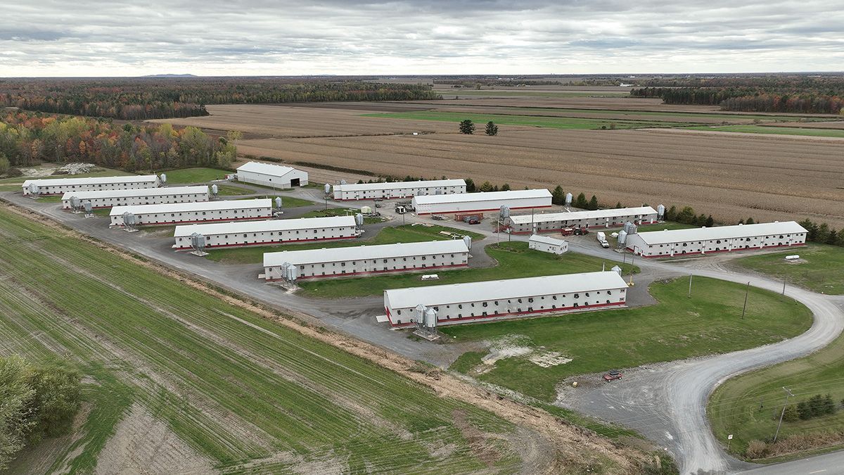 Construction G. Bazinet réalisation 3