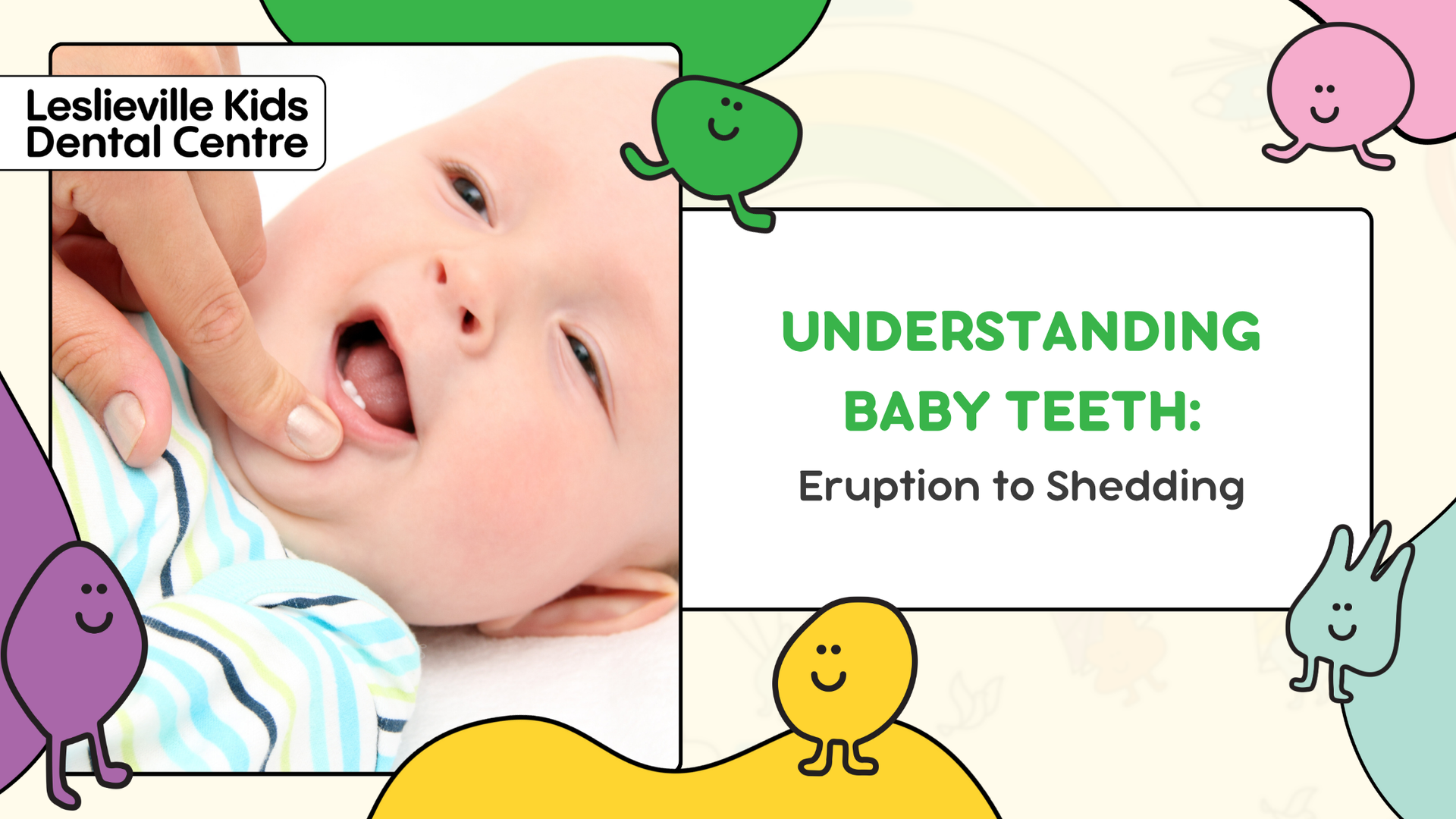 A poster for leslieville kids dental centre explaining baby teeth