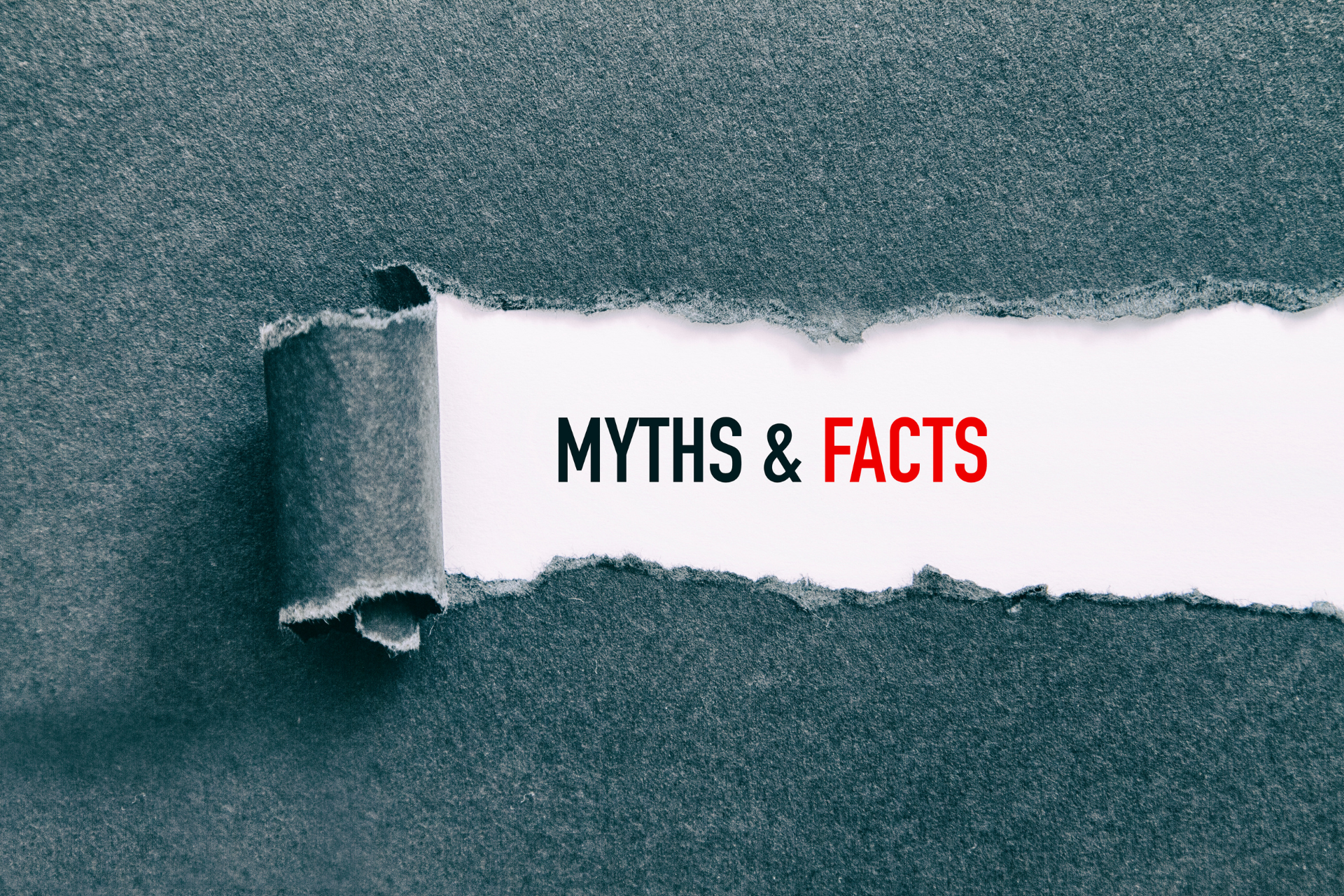 a piece of torn paper with the words `` myths & facts '' written on it .