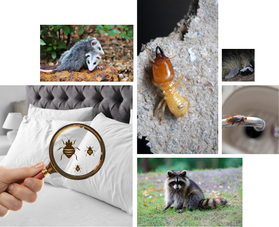 a picture of a house and a picture of a family in a tent