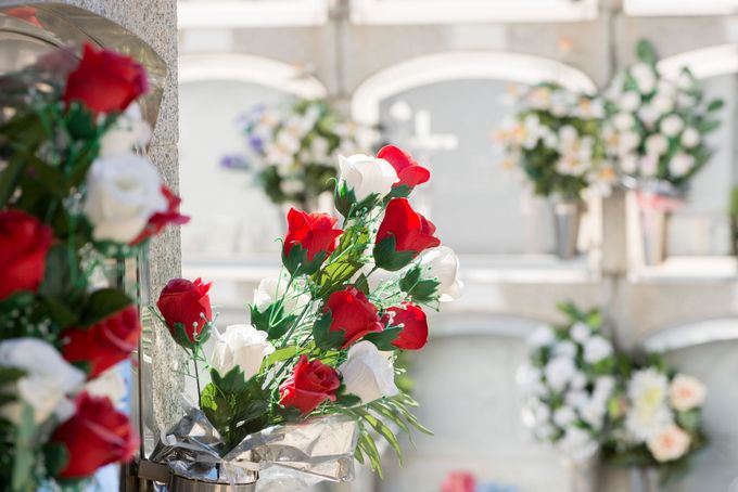 Fiori rossi e bianchi in vasi di vetro disposti in un ambiente interno luminoso e sfocato.