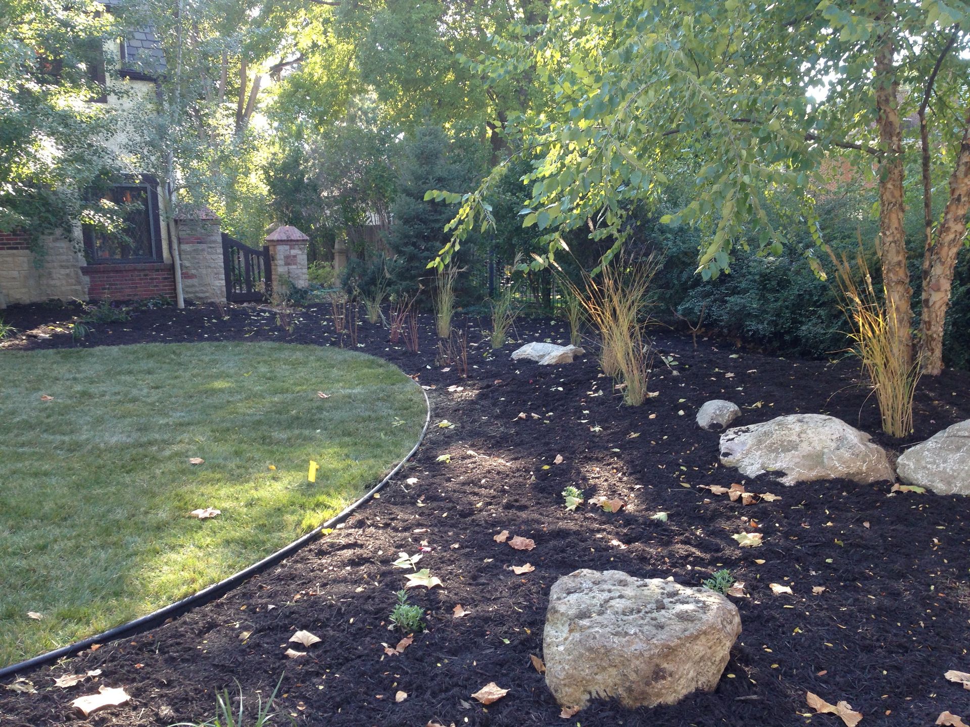 A backyard with a lush green lawn , trees , rocks and mulch.