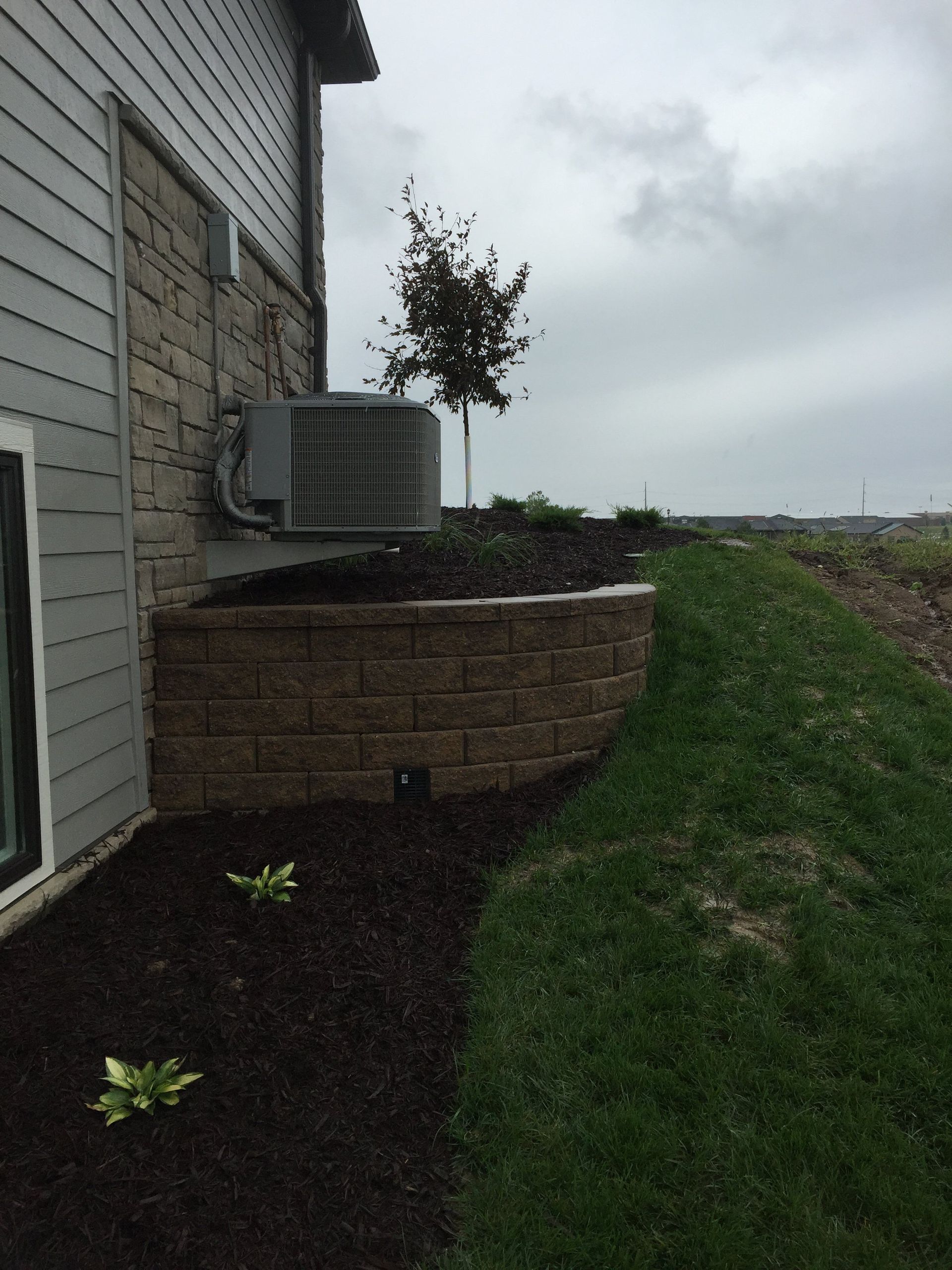 A house with a brick wall and a tree in the backyard.