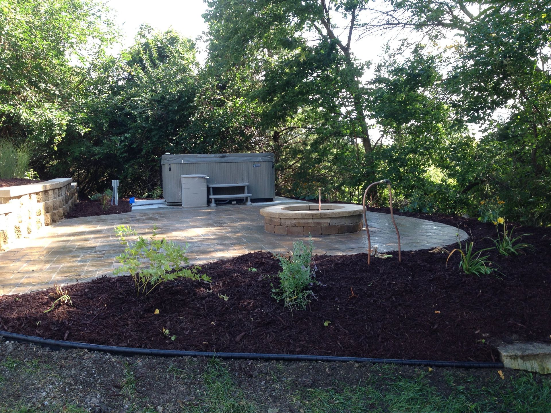 There is a fire pit in the middle of the backyard surrounded by trees.