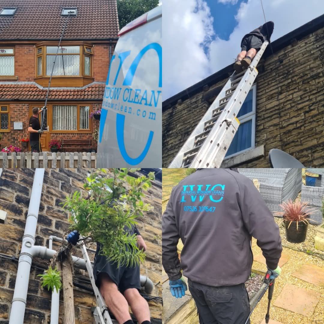 Residential Window Cleaning