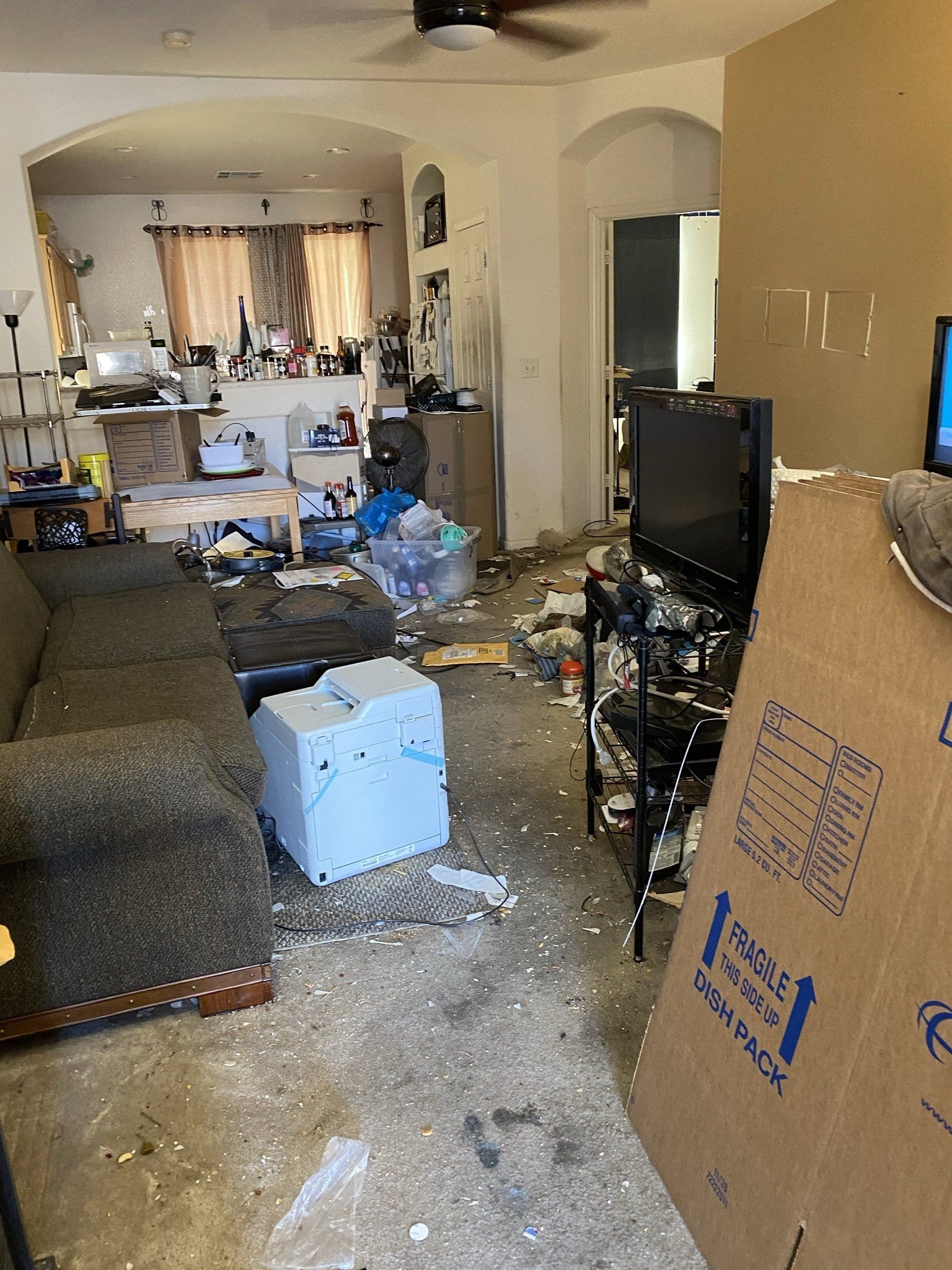 Hoarding situation, living room