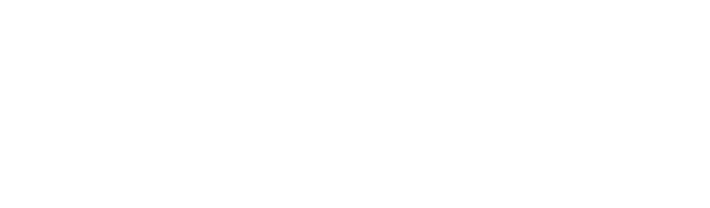 Halcyon logo Blank white image.