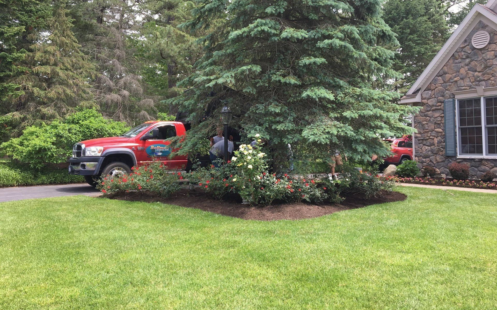 Landscape Design Stokesdale, NC Bollman Landscape, LLC