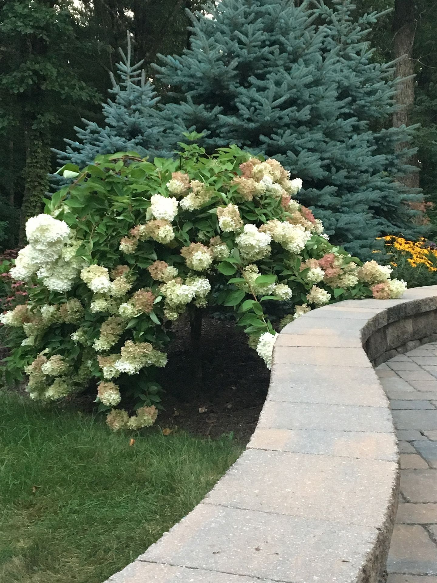 Landscape Design Stokesdale, NC Bollman Landscape, LLC