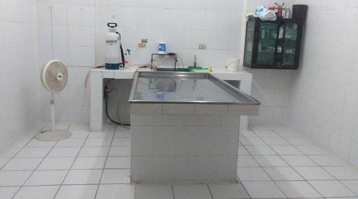 FUNERALES NAVA - SERVICIOS FUNERARIOS