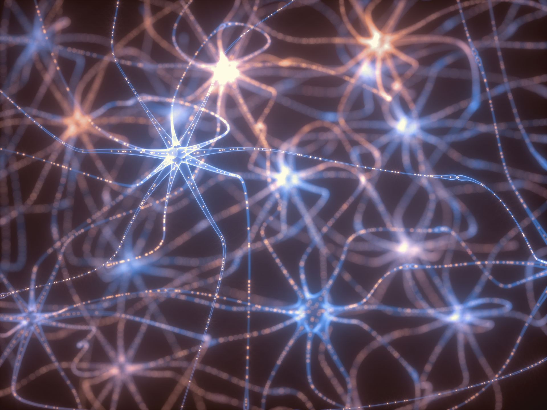 neural network