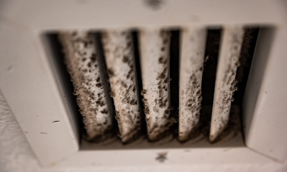 4 Signs Your Air Duct Systems May Have Mold