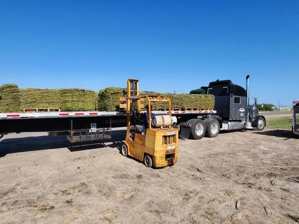 A forklift is loading hay onto a semi truck.